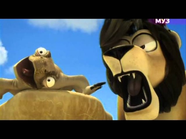 LEON Error of the