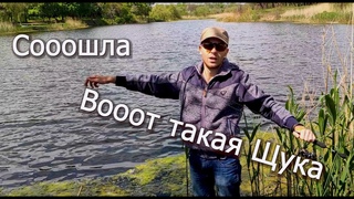 Вот такая Щука. Искал окуня нашел много щуки на микруху. #4
