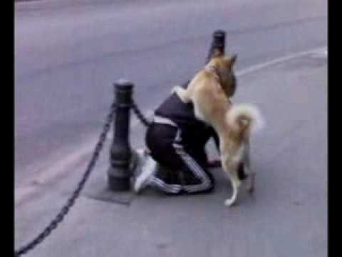Собака ебёт мужика x