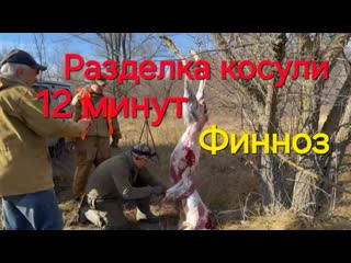 Разделка косули .Как быстро разделать.2024