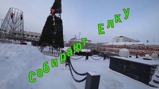 Городскую елку собирают на площади. Кормушка для птиц.