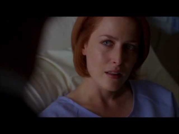 X Files Im