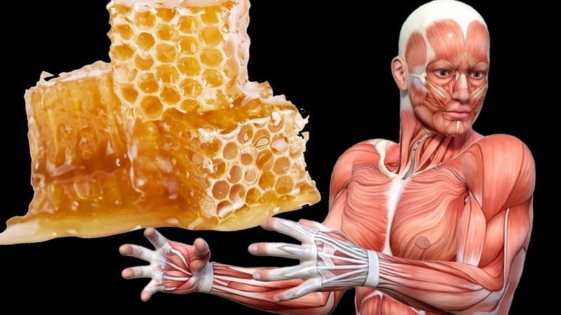 What Happens to Your Body When You Start Eating