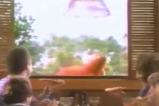 Eat the Pizza