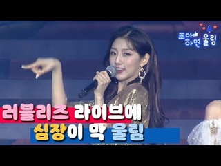 [좋아하면 울림🔔] 러블리즈 라이브에 심장이 막 울림❤ | 러블리즈 - 지금, 우리 @2019 LOVELYZ CONCERT ’ALWAYZ 2’)