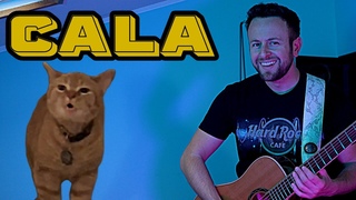 Spaul x Cala - The Reggae queen ( singing cat The Kiffness style)