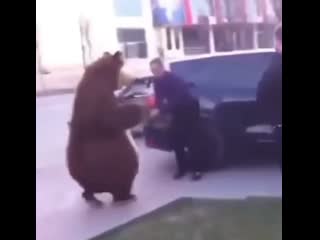 выга выга рил выга