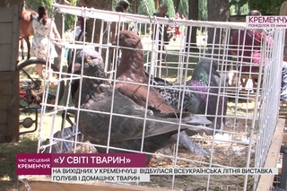 У СВІТІ ТВАРИН