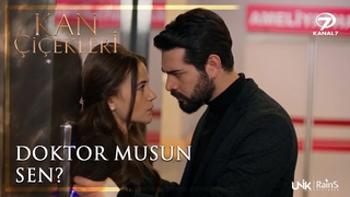 Dilan, Cihan Korumak stiyor - Kan iekleri 28. Blm