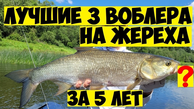 ТОП 3 Лучших воблера на ЖЕРЕХА за 5 ЛЕТ Ловля жереха на