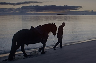 Wardruna-Raido