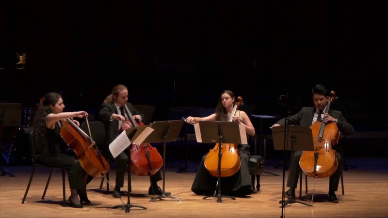 RADIX Cello Quartet Josef Werner: Elegie for four cellos, Op.