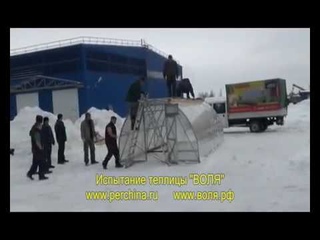 Дачная Оптима   испытание теплицы Воля на прочность