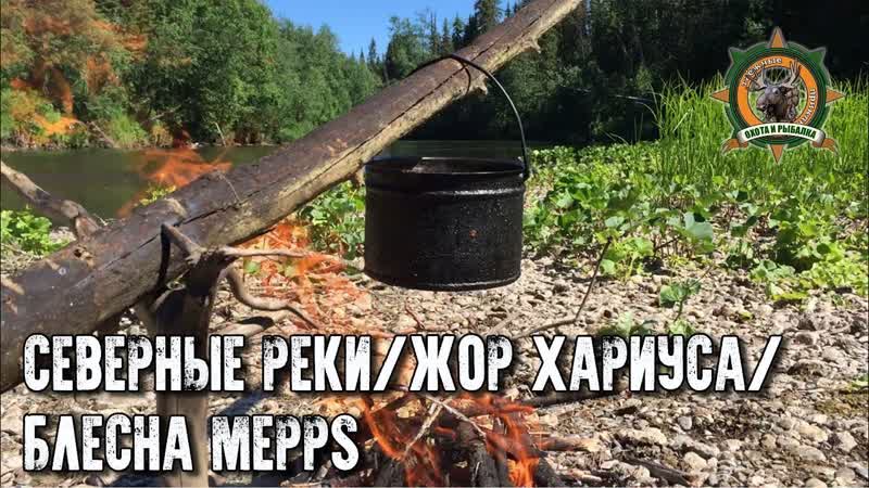 Попали на жор хариуса, Блесна Меппс, Таёжные