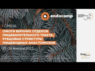 Ожоги верхних отделов пищеварительного тракта. Рубцовые стриктуры пищеводных анастомозов (день 2)