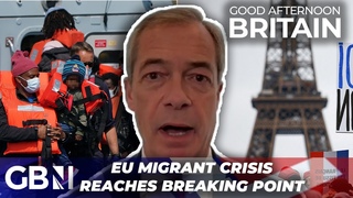Nigel Farage on the EU's migrant crisis - I said millions would come Now theyre panicking!
