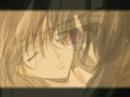 Code Geass Shirley Fenettes