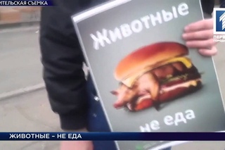 «Время Кривбасса» – новости за 14 декабря 2015