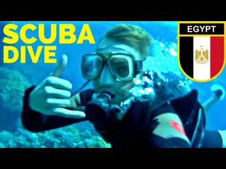 SCUBA DIVING the RED SEA // Egypt Travel