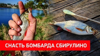 БОМБАРДА СБИРУЛИНО l Что это такое и как на неё ловить l Ловля на мушки