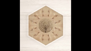 Zen Baboon -  Watch This feat. David Knight