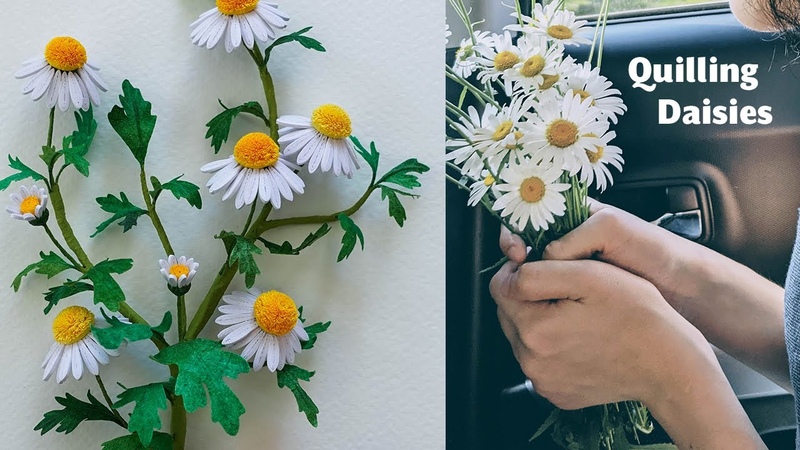 Making quilling daisies out of strips of paper DIY Chamomile