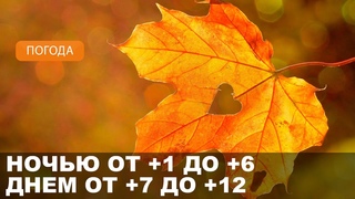 Погода на Могилевщине  // Возможны осадки