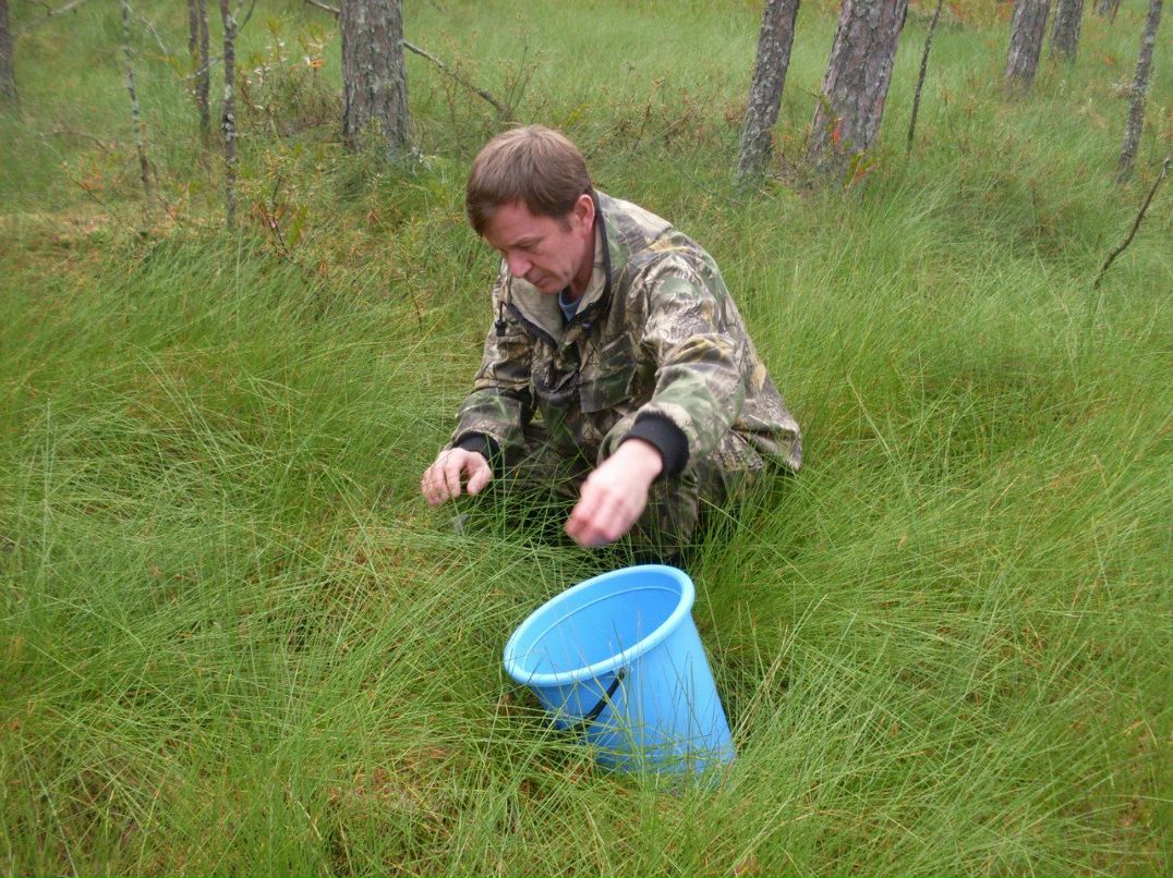 Анатолий Ямщиков | Оршанка