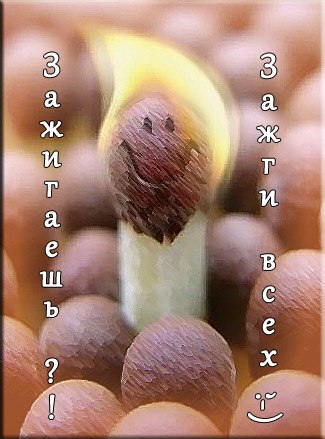 Дмитрий Берещенко | Тамбов