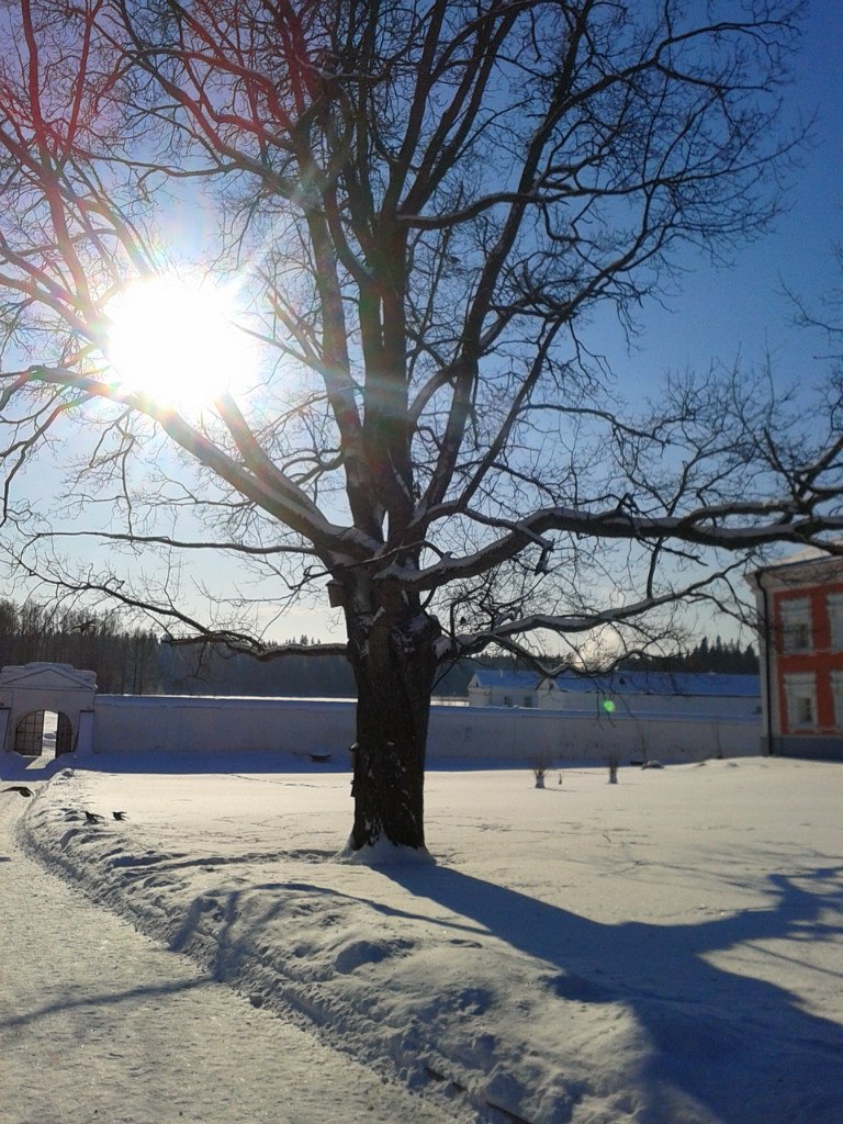 Дмитрий Киселёв | Валдай