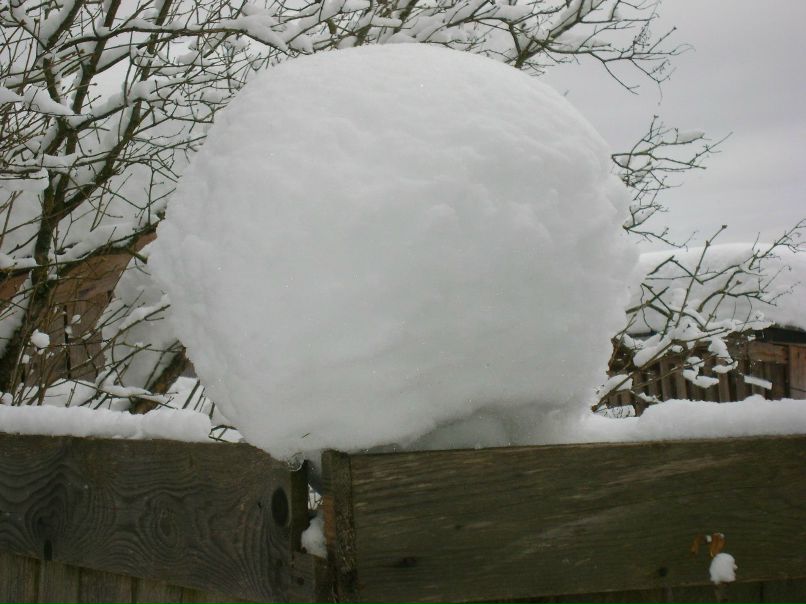 Татьяна Еремеева | Березники