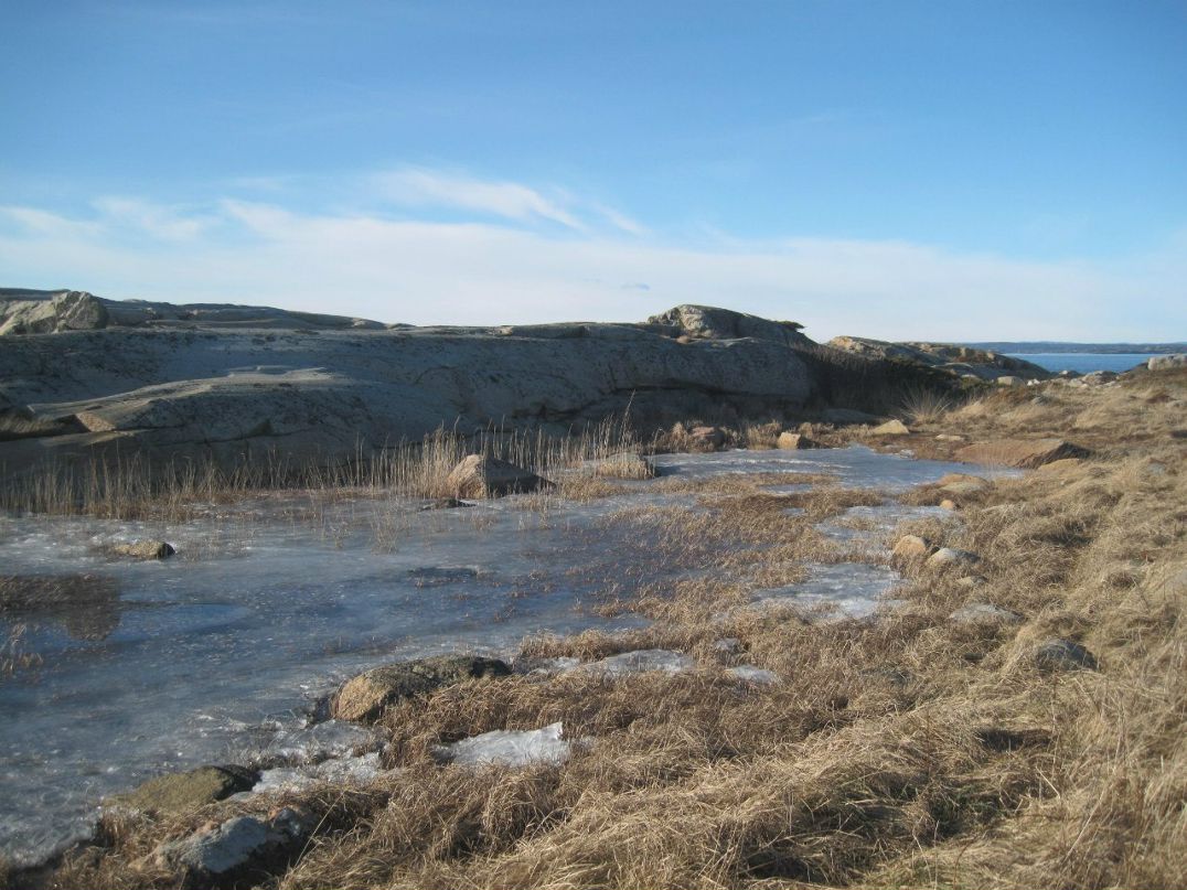 Елена Карлсен | Tønsberg