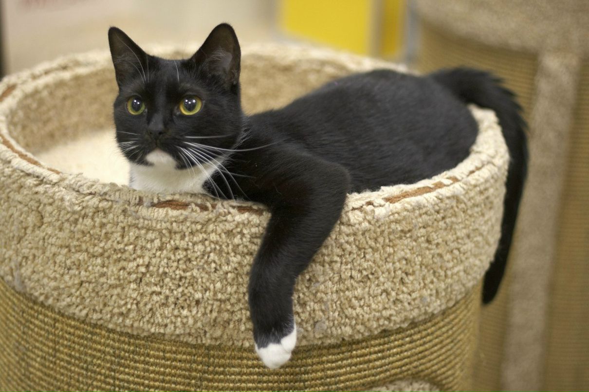 Катерина Uma rock♥n♥heart | Санкт-Петербург