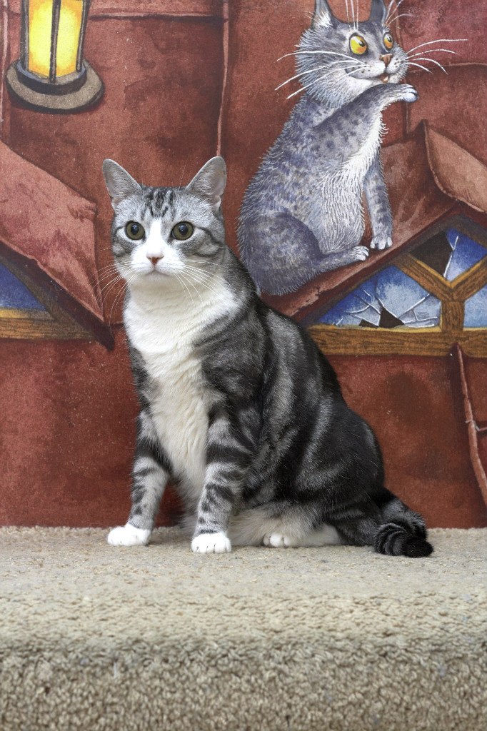 Катерина Uma rock♥n♥heart | Санкт-Петербург