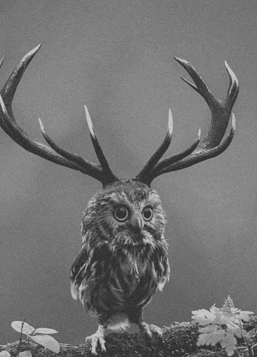 Андрей Петров | 