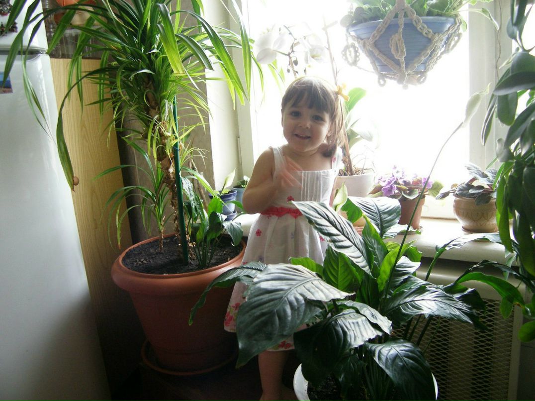 Денис Шапиро | Киев