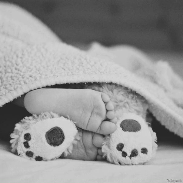 №5, Анюта Езикова №5, Анюта Езикова