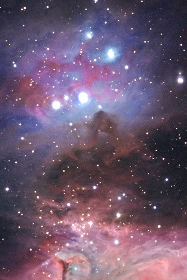 Ольга Карелина Chantel | Москва