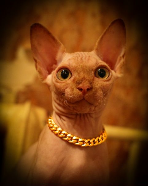 №90, Алина Борисова, Казань №90, Алина Борисова, Казань