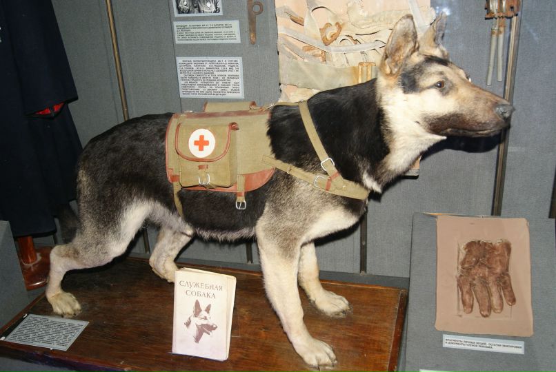 Андрей Гридин | Москва