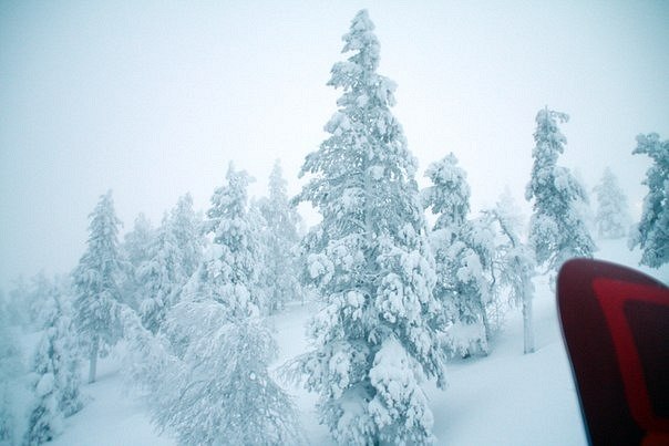 Владимир Никин | Самара