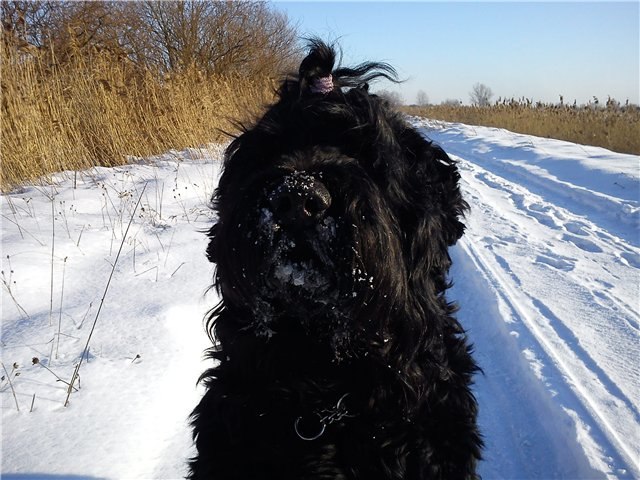 Светлана Шаповалова uhhi | Рига