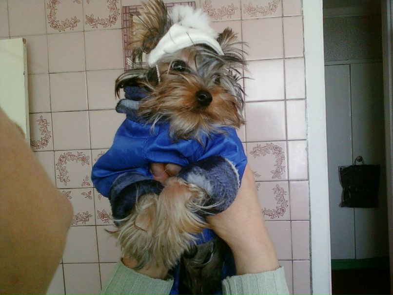 Марина Николаева | Рубежное