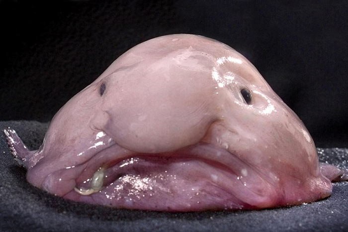 Станислав Толков | Москва