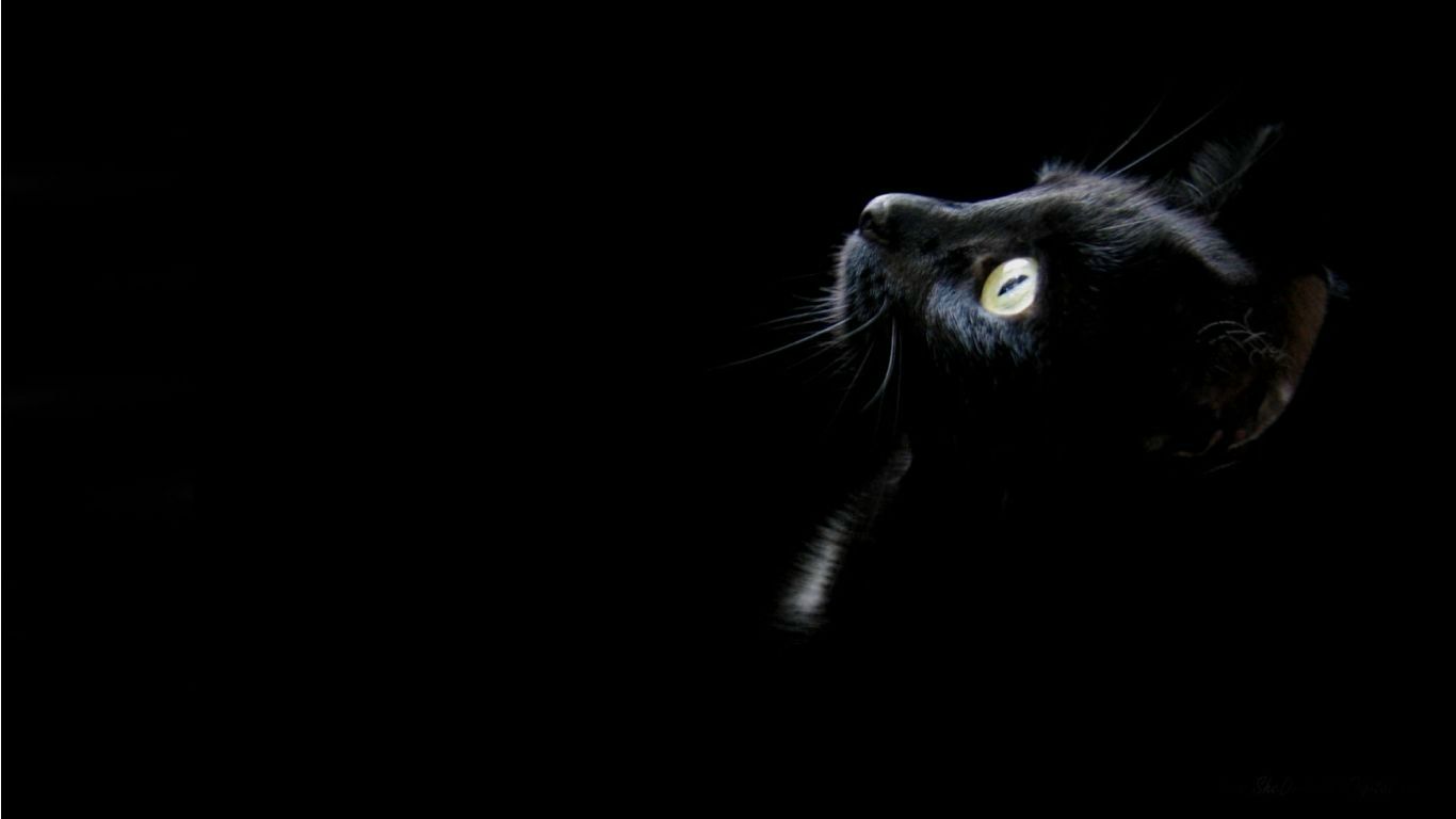 Kathrine Kalinichenko | Витебск