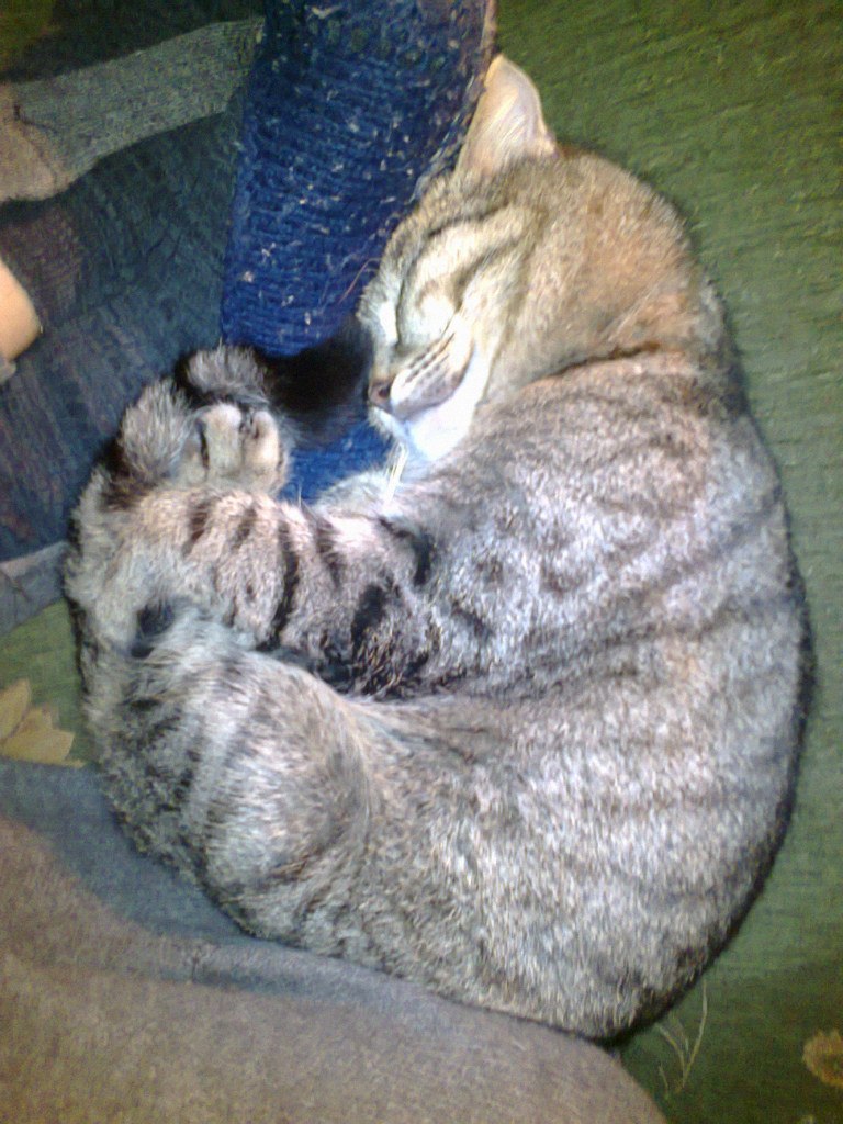 Андрей Тимофеев | 