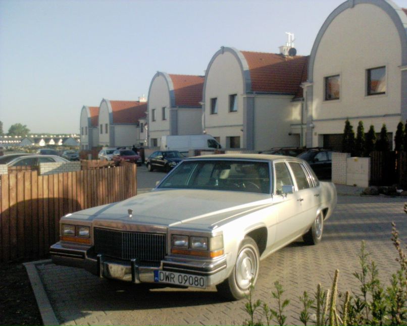 Роман Кермач Ron | Путила