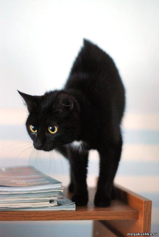 Наталія Паламарчук | 