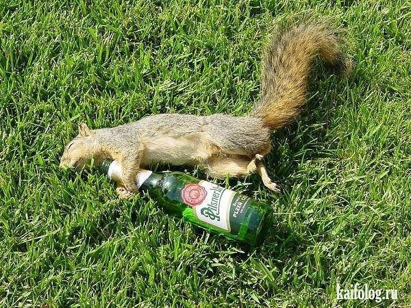 Вова Луконин | Киев