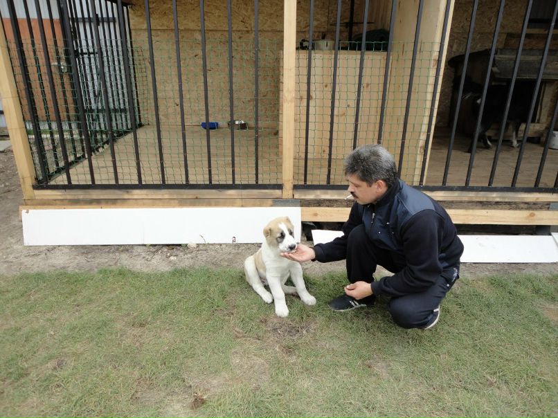 Наташа Копылова | Ногинск